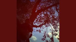 1.Groove of spring