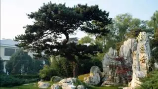 The Voice Of Buddha (Eyes Of Truth) [Pt. 2 Dalai Lama Tribute] - Bhangralution  HD