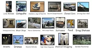 Every Crazy Drug Smuggling Method Explained