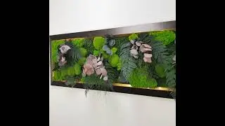 Moss Design, Ball Moss, Preserved Lichens and Stabilized Plants, Island Modell, Jolie Arts