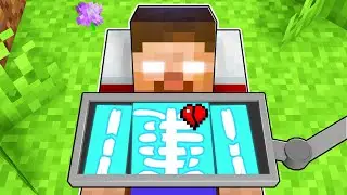 HEROBRINE is HURT in Minecraft
