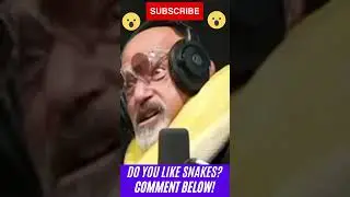 HOWIE MANDEL SnakeCHOKE on Live Podcast #shorts #fyp #fypシ #funny #viral #trending #youtubeshorts