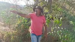 João do bar mais outra vez falando sobre a natureza, segue e curte para mais vídeos 