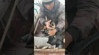 Bird Fishing technique ! #viral #fishing #fish #fishinglife #birdfishing #shorts #short #hunting