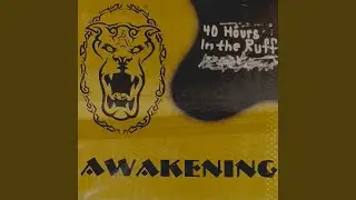 Rude Awakening