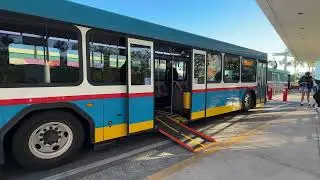 Kayden off Donald Duck Bus Ramp at Hollywood Studios #bus #busstop #disneytransportation #disney