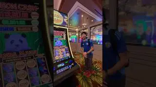 SCREAMING after I hit this on $100 spin!!!!