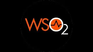WSO2 Tutorial,  API Microgateway 3 0   Git Ops based CI CD