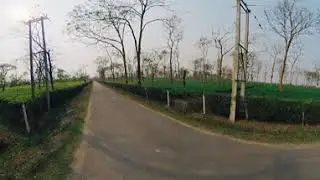 Bindukuri Tezpur tea garden 360 view  with Cousine Sazu Bhai