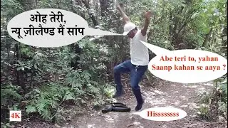 Is There Any Snake in New Zealand ? क्या न्यू ज़ीलैण्ड मैं सांप हैं ? II