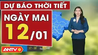 Dự báo thời tiết ngày mai 12/1: Bắc Bộ rét tê tái, Trung Bộ vừa mưa vừa rét | ANTV