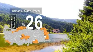 Türkiye'nin En Yeşil 10 Şehri (ve En Az Yeşil) - Ormanlık Alanlarımız