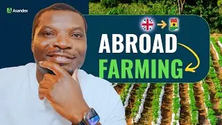 From Diaspora to Farming in Ghana: Building a Sustainable Agribusiness | Asandex Journey