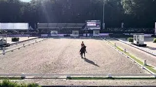 Emmelie Scholtens met Indian rock. Met 81,340%  op het CHIO Rotterdam.