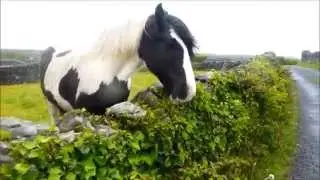 Inis Oirr - lighthouse
