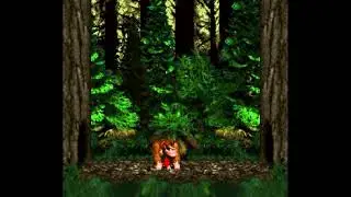 Disappointed Kongs (Non Banana Hoard Version)