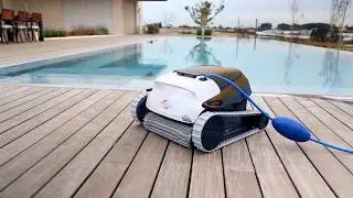Dolphin poolstyle zwembadrobot