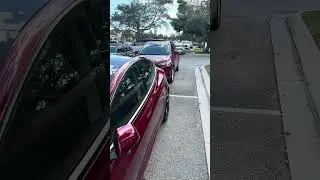 Why didn&rsquo;t Tesla think of this? Self Presenting Doors on the Model 3/Y