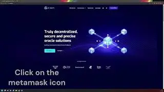 How to Add the Fantom Testnet to Your Metamask
