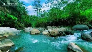 River Sounds for Sleeping Peacefully | Continuous Natural Water Flow 24/7