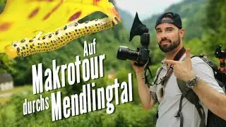 Makrofotografie: Auf Makrotour durchs Mendlingtal