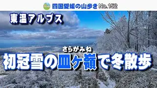 【愛媛の人気低山】初冠雪の皿ヶ嶺で冬散歩（2025.12.27）