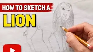 How to Draw a Lion | Easy Step-by-Step Drawing for Beginners