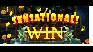 Sticky Bees, Pragmatic Slot Sticky Bees, Sticky Bees Big Win, Big X !