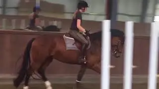 2015 Hanoverian- FEI Prospect
