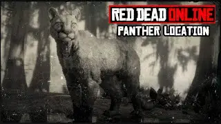 Reliable Panther location in Red Dead Online