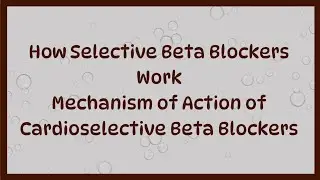 Selective Beta Blockers | Mechanism of Action, Pharmacology & Clinical Uses Explained