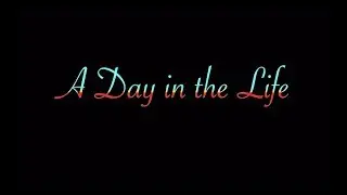 A Day in the Life