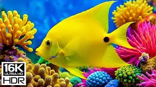🌌 16K HDR Dolby Vision | Crown of the Abyss — Luminous Fish & the Ocean’s Sacred Glow