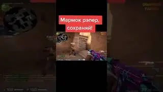 рататуй