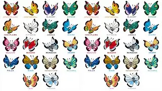 Scatterbug, Spewpa, and Vivillon Launch Pok&eacute;mon GO!