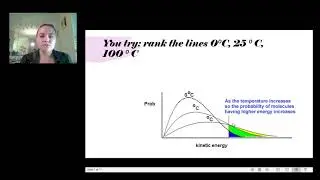 Temperature, catalyst, and concentration on reaction rate