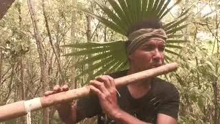 l'espri arawak