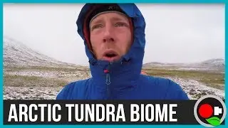 Arctic Tundra Biome - The search for permafrost
