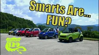 Smart Car Mountain Madness!!!