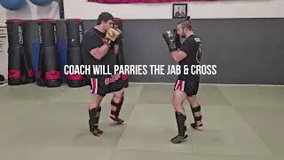 Parry Jab & Cross - Trap Body Kick - Execute Low Leg Kick - Lead Body Kick