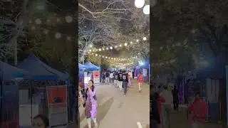 Walking in Saarang Cultural Fest IIT Madras |