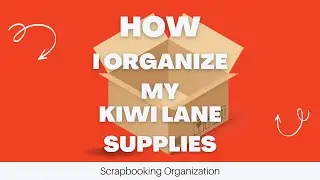 How I Organize My Kiwi Lane Club Kits, Paper Collections & Larger Templates ~ Scrapbook Organization