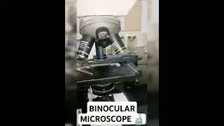 binocular microscope, microbiology lab