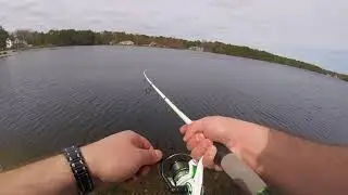 First Blade Bait Cold Water Bass
