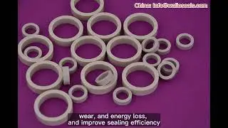 Specific performance of PEEK sealing ring