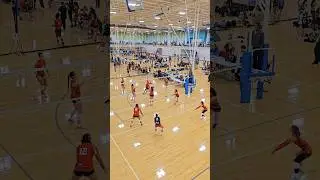 🎯 High IQ Middle Attack! Isabel's Smart Push Scores! #Volley #NVA #SmartPlay #Attack #ForYou #Game