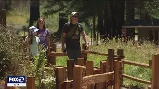 Big Basin Redwoods State Park bounces back from CZU fire