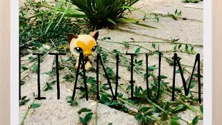 Titanium - LPS music video / Lucy LPS