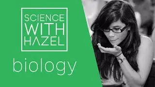 Plant Hormones (including Auxins) - GCSE Biology Revision - SCIENCE WITH HAZEL