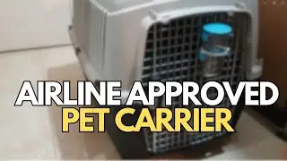 PET RELOCATION AIRLINE APPROVED PET CARRIER | CAT CARRIER | PET TRAVEL